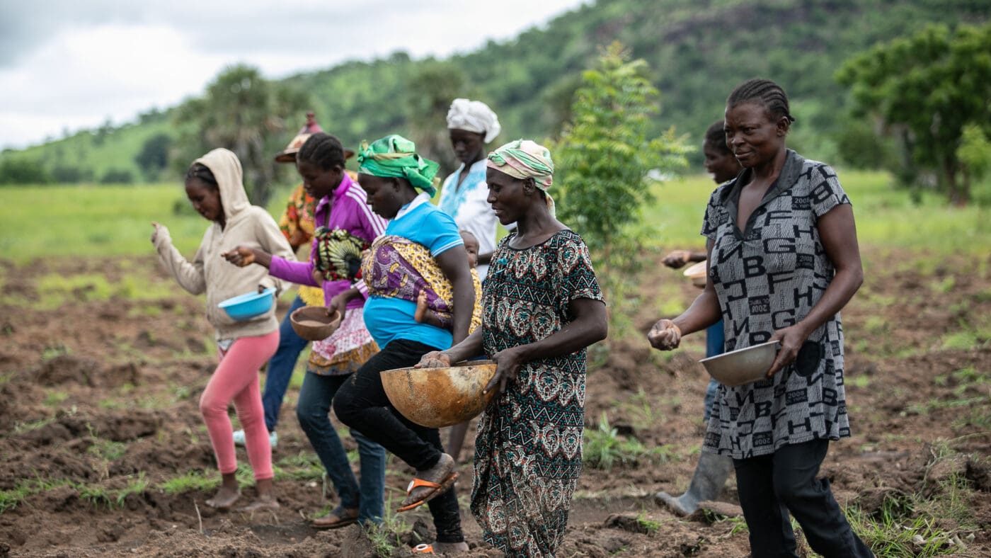 Ghana food insecurity trends from Q1 2024 to Q3 2025