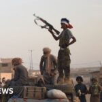 Mali's Security Architecture Collapses: What the Bamako Offensive Means for Sahel Governance and Regional Stability