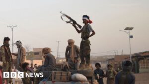 Mali's Security Architecture Collapses: What the Bamako Offensive Means for Sahel Governance and Regional Stability