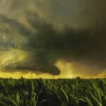 El Niño Threatens West African Food Security and Monetary Policy Space in 2027