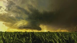 El Niño Threatens West African Food Security and Monetary Policy Space in 2027