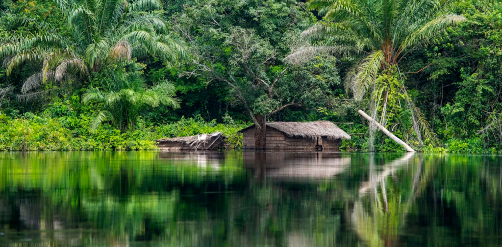 Africa's Green Minerals Paradox: How Mining's 20km Deforestation Shadow Demands Regional Environmental Governance Reform