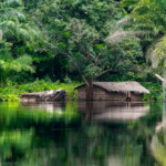 Africa's Green Minerals Paradox: How Mining's 20km Deforestation Shadow Demands Regional Environmental Governance Reform