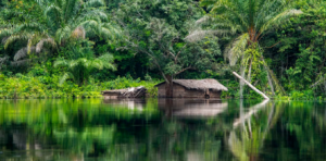 Africa's Green Minerals Paradox: How Mining's 20km Deforestation Shadow Demands Regional Environmental Governance Reform
