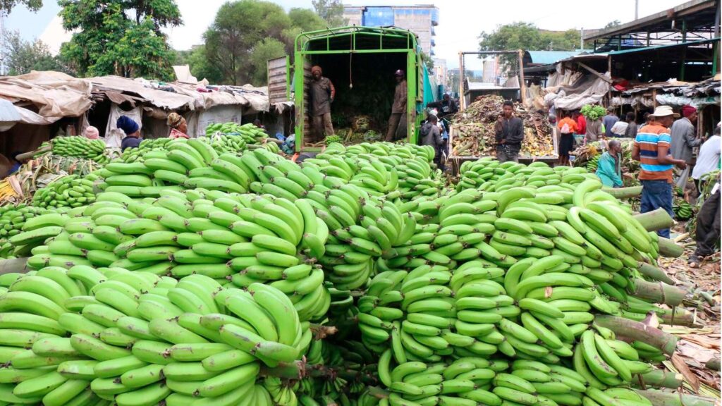 West Africa's Food Security Gains Are Real — Now Comes the Harder Work of Making Nutritious Diets Affordable