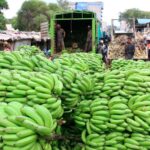 West Africa's Food Security Gains Are Real — Now Comes the Harder Work of Making Nutritious Diets Affordable