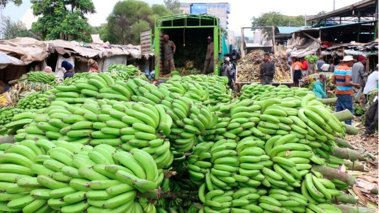 West Africa's Food Security Gains Are Real — Now Comes the Harder Work of Making Nutritious Diets Affordable