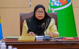 Tanzania's Post-Election Accountability Commission Tests the Limits of Domestic Institutional Credibility