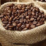 Ghana's Cocoa Sector Overhaul: COCOBOD Bans Credit Purchases and Rewrites the Financing Architecture