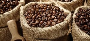 Ghana's Cocoa Sector Overhaul: COCOBOD Bans Credit Purchases and Rewrites the Financing Architecture