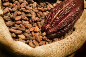 Ghana's Cocoa Pricing Mechanism Under Scrutiny as COCOBOD Seeks New Financing Architecture for 2026/2027 Season