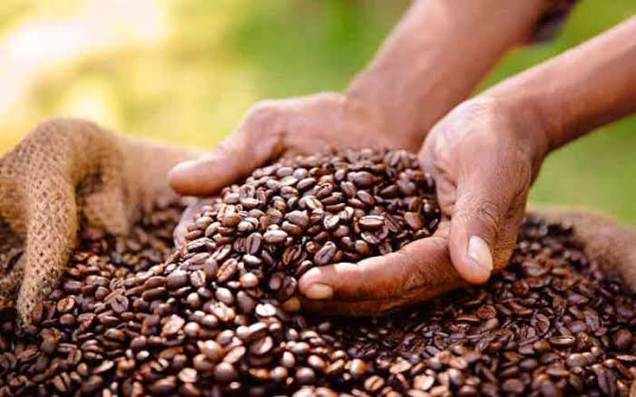 Kenya's Coffee Sector Confronts a Structural Crisis: Science, Value Chains, and the Governance of Agricultural Decline