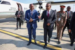 Tana Forum 2024: How Africa's Economic Governance Agenda Is Reshaping the Continent's Security Architecture