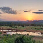 Kenya's Private Investment Climate: How Fiscal Overreach and Institutional Weakness Are Eroding East Africa's Economic Anchor