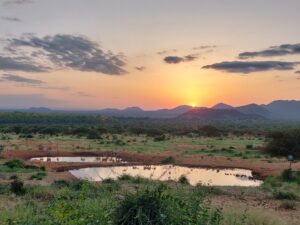 Kenya's Private Investment Climate: How Fiscal Overreach and Institutional Weakness Are Eroding East Africa's Economic Anchor