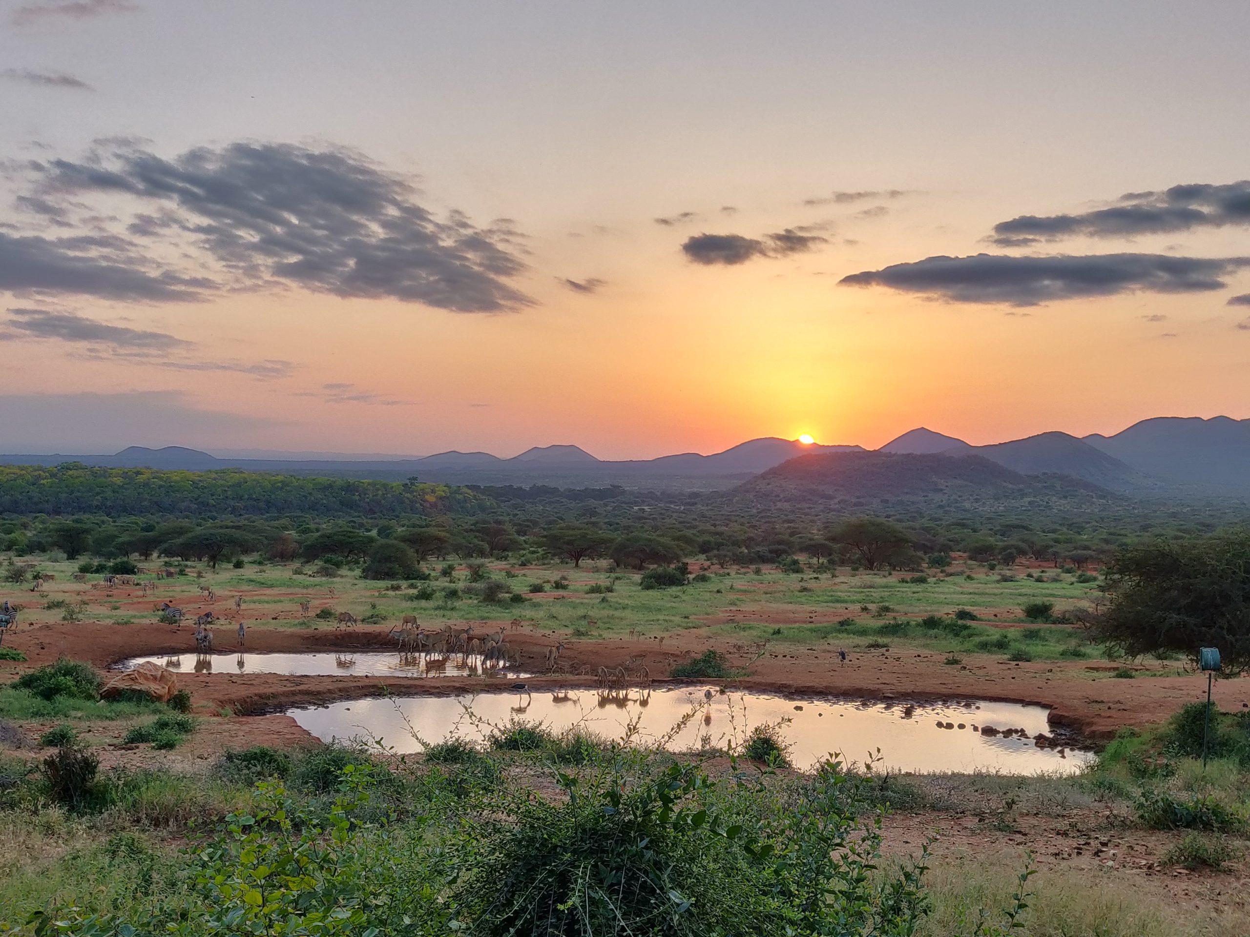 Kenya's Private Investment Climate: How Fiscal Overreach and Institutional Weakness Are Eroding East Africa's Economic Anchor